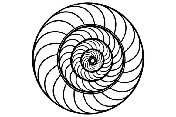 Abstract Spiral Seashell Pattern Line Art